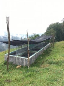 Stocktanks at the CICHAZ field station